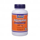 NOW Astragalus (500 mg) - 100 Capsules